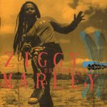 Ziggy Marley
